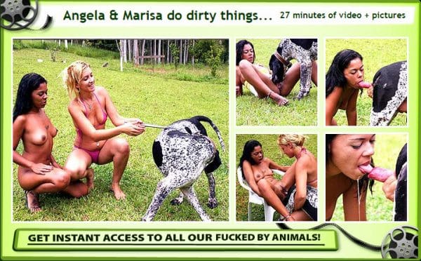 FuckedByAnimals.Com - Angela & Marisa do dirty things