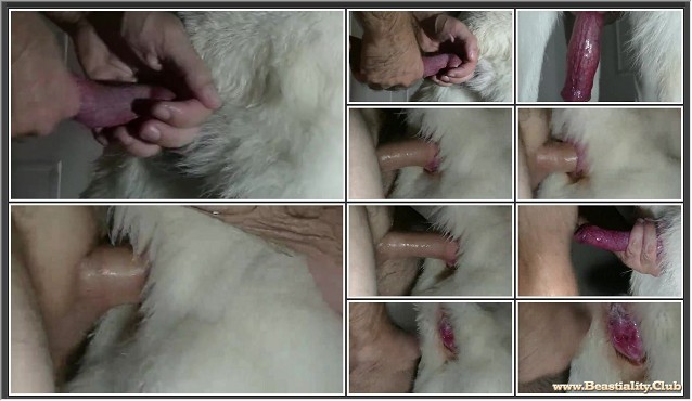 638px x 370px - ÐÑ€Ñ…Ð¸Ð²Ñ‹ Animal Sex - Animal Porn Scenes And Videos | BEASTEXTREME ...