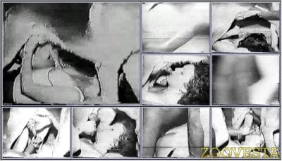 0021 - Animal amateur porn 0021 - Animal amateur porn