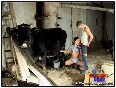 Screamers & Creamers Screamers & Creamers