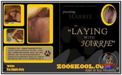 Home Of Real PetLover - Harrie Laying With Harrie Home Of Real PetLover - Harrie Laying With Harrie