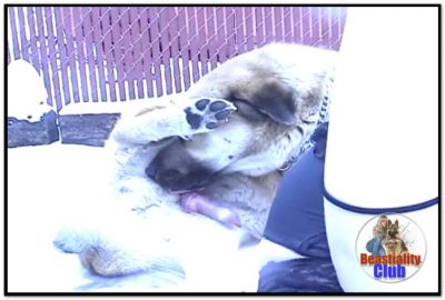 Dinos Outdoor Adventure