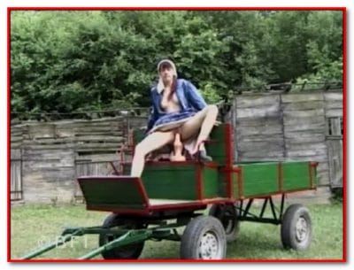 Andrea Timai - Animal Pornstars 49 Andrea Timai - Animal Pornstars 49