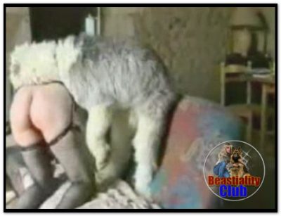 Amateur ZooSex - Getting Mounted Amateur ZooSex - Getting Mounted