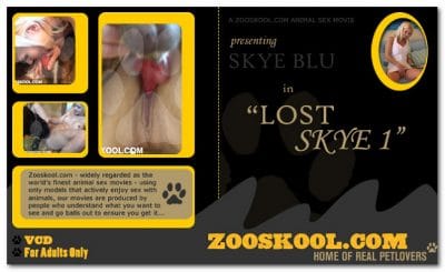 Home Of Real PetLover - Skye Blue Lost Skye 1
