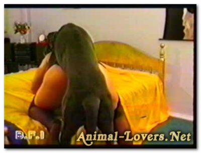 Animal Passion - Dog Suckers Teeny