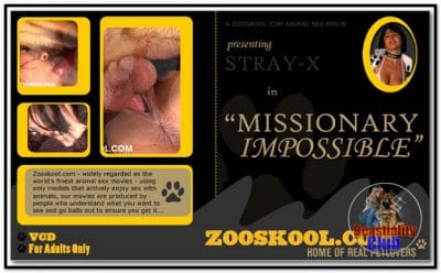 Home Of Real PetLover - Strayx Missionary Impossible Home Of Real PetLover - Strayx Missionary Impossible