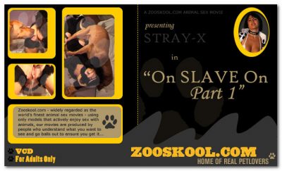 Home Of Real PetLover - Strayx On Slave On 1