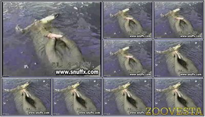 0046 - EXTREME SCENES OF SEX WITH VARIOUS ANIMALS 0046 - EXTREME SCENES OF SEX WITH VARIOUS ANIMALS