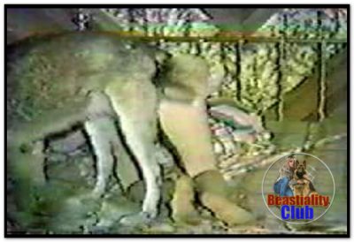 Girl & Wolf Knotted Girl & Wolf Knotted