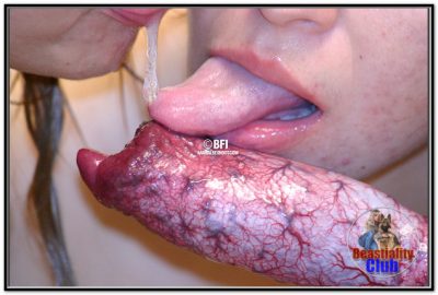 B_Photoset321 B_Photoset321