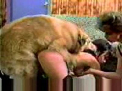 0037 - Dog Fucking 2 Girls