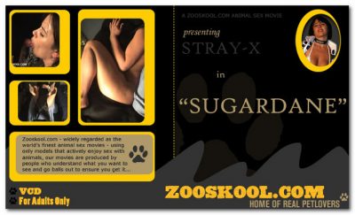 Home Of Real PetLover - Sugar Dane 1 Home Of Real PetLover - Sugar Dane 1