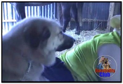 Fucking in the Horse Pen