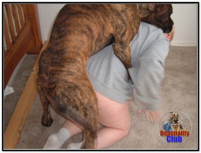 0175 - Dully,s Girl And Huge Mastiff, my girl gettin mounted and knot 0175 - Dully,s Girl And Huge Mastiff, my girl gettin mounted and knot