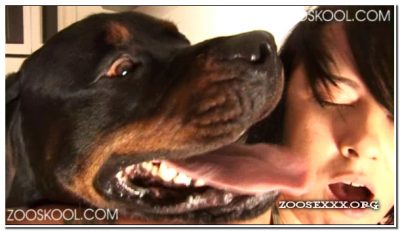 StrayX - Bitch StrayX - Bitch