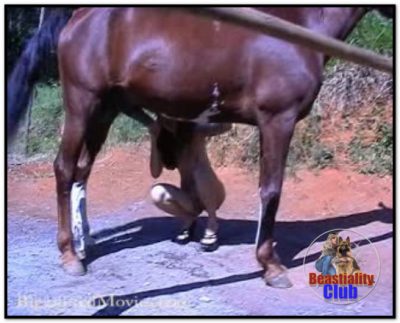 031 - Biganimalmovies - Deep Sex Horse Great Cumshot 031 - Biganimalmovies - Deep Sex Horse Great Cumshot