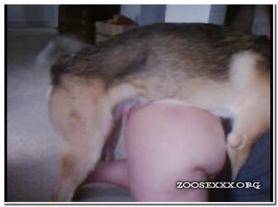Amateur ZooSex - Home Dog 1 Amateur ZooSex - Home Dog 1