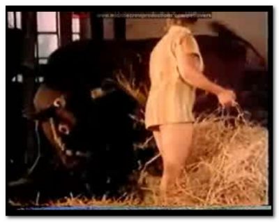 Bodil Joensen - Animal Sex Pornstars - Bestia