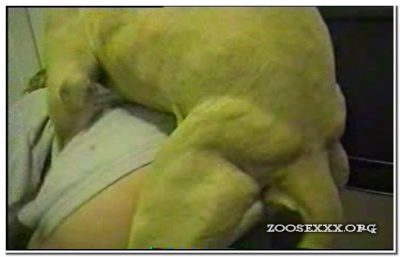 0184 - Dully's Great Hump, as promised movie,tie,on top cum