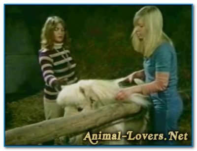 Bodil Joensen - Animal Sex Pornstars - Bodil And Pony Bodil Joensen - Animal Sex Pornstars - Bodil And Pony