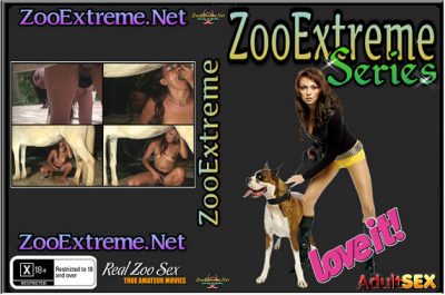ZooExtreme Serie 31 ZooExtreme Serie 31