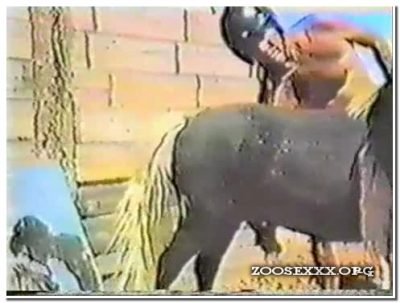 Horse and Man Horse and Man