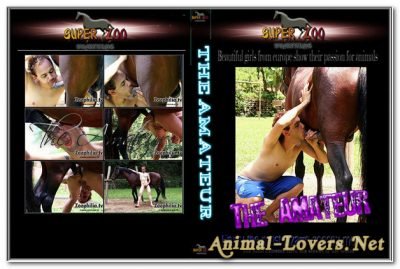 Super Zoo - The Amateur Super Zoo - The Amateur