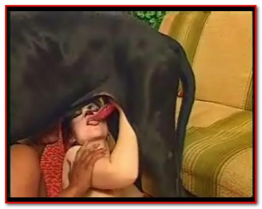 Girls & Dog Girls & Dog