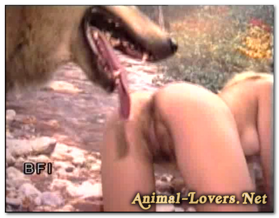 Like my Dog Like my Dog