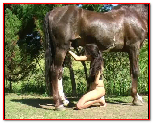 Giselle Loves Horsecum Giselle Loves Horsecum