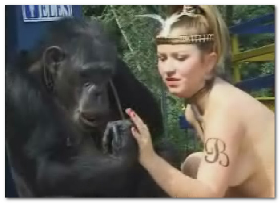 Zoo Siesta - Girl And Monkey Zoo Siesta - Girl And Monkey